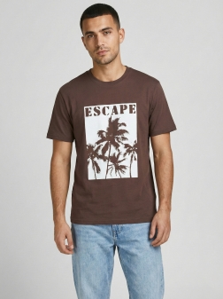 ФУТБОЛКА МУЖСКАЯ коричнево-бордовый