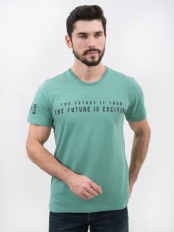 футболка мужская короткая рукав Песок зеленый